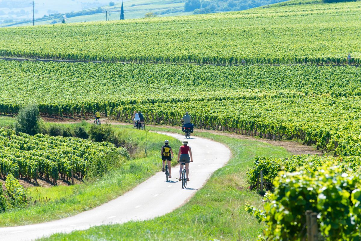 Un voyage sensoriel à vélo au cœur des vignobles de Bourgogne