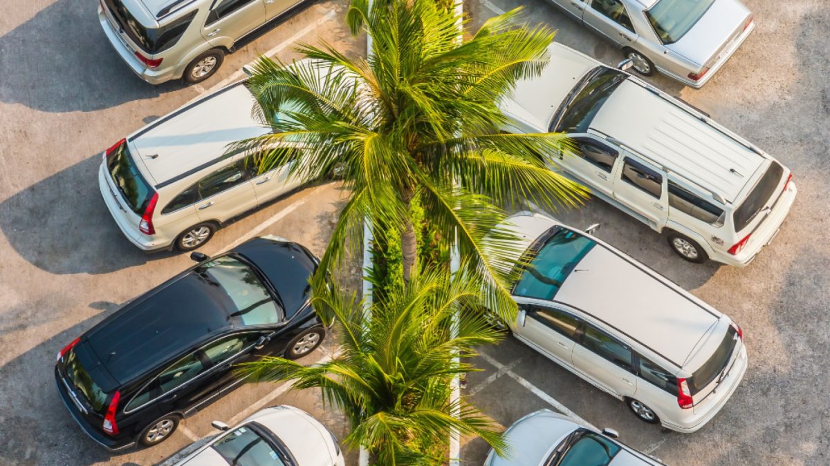 Location de voiture en Martinique : réserver à l'avance ou sur place ?
