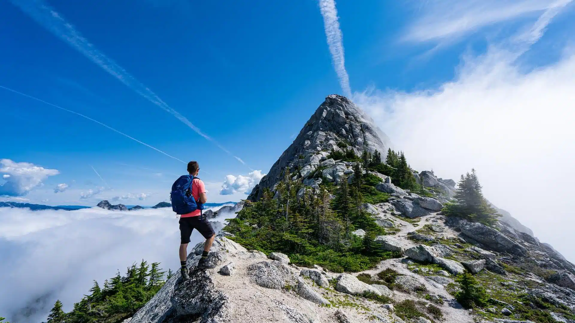 Quels sont les différents types de camping en 2022 ?